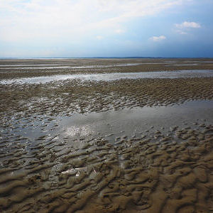 서천앞바다 모니터링
