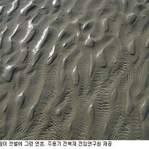 퇴적모니터링 특별조사